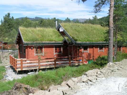 Norwegia B1 bal okrągły